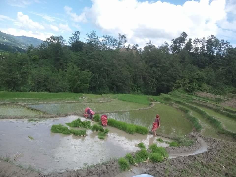 Changu Newa Homestay Bhatgoan Exterior foto